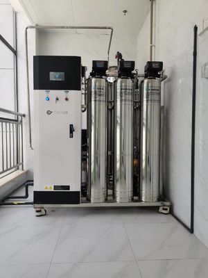 Bom preço 10L/Hr 20L/Hr Sistema comercial de osmose reversa Filtração de água agrícola on-line